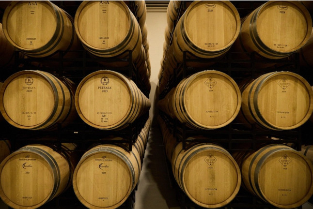 Visita a Bodega y Cata de Vinos con Exclusivas Conservas Gallegas en Bosque de Matasnos (Peñaranda de Duero, Burgos)