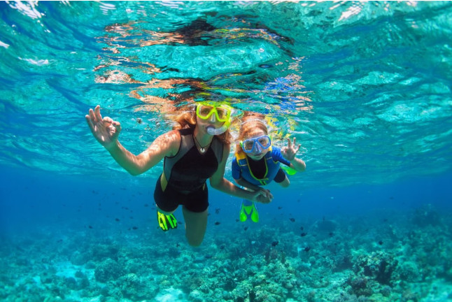 Snorkel en la Reserva Marina de Menorca (Fornells, Menorca)