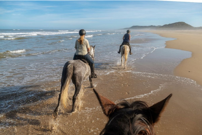 Ruta a Caballo por la Playa (Cádiz)