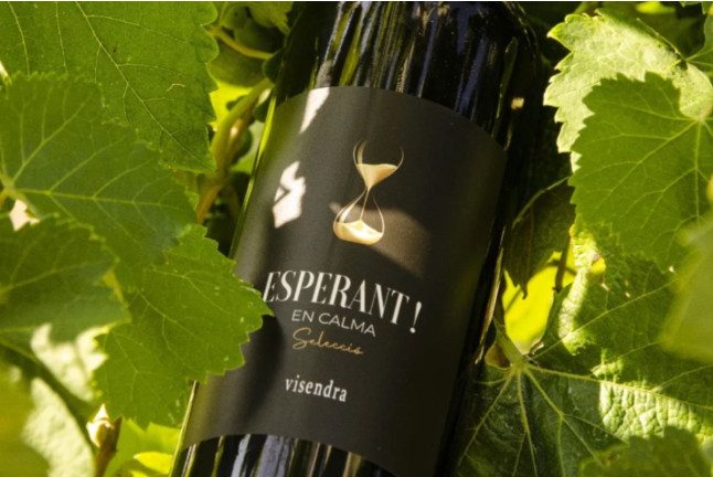 Visita a Bodegues Visendra con Cata de Vinos y Aperitivo para dos (Les Pobles, Tarragona)