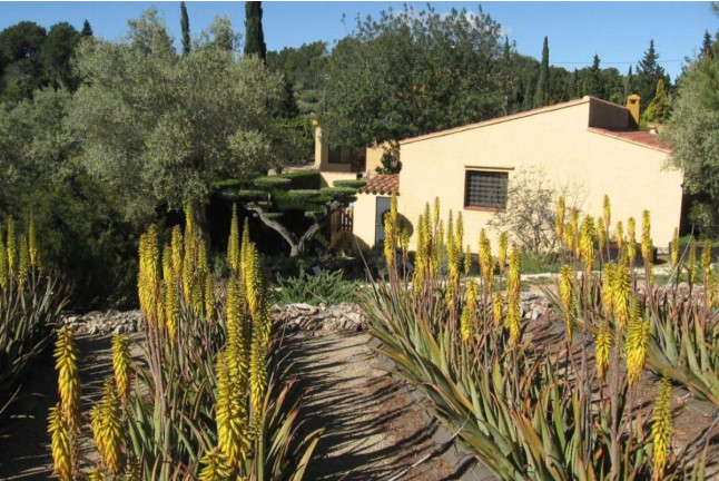 Visita Guiada a Ecoherbes: Jardí Botanic (L'Ampolla, Tarragona)