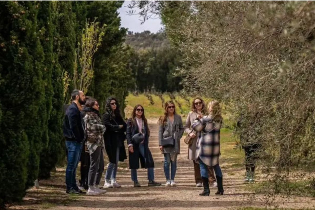 Cata Completa: Visita a Bodega con Cata de Vinos, Degustación de Aceite, Petit Fours y Tapas en Masia Serra (Cantallops, Girona)