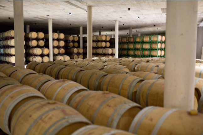 Visita a Bodega Raíces Ibéricas y Cata de Vinos para dos en Finca Calderón (Requena, Valencia)