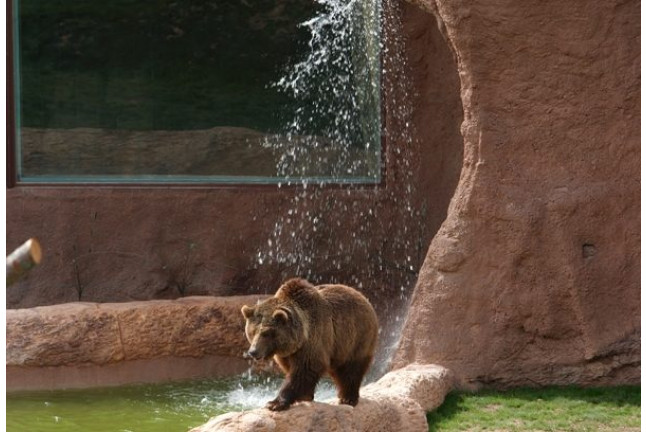 OFERTA: Entrada a Terra Natura (Murcia)