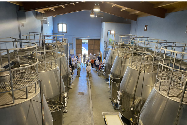 Visita a Bodegas Perfer con Cata de Vinos y Comida para dos (Uleila del Campo, Almería)
