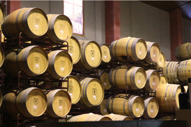 Visita a Bodegas Bocopa con Cata de Vinos y Tapa para dos (Alicante)