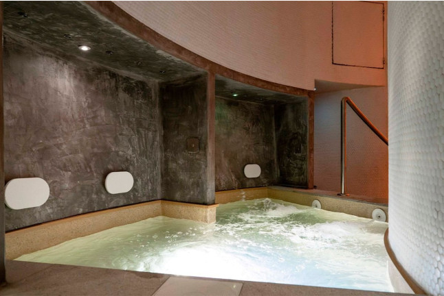 Circuito Spa en Hotel Macià Granada Five Senses y Cata Sensorial de Vinos Ecológicos con Tapas de Maridaje para dos (Granada)
