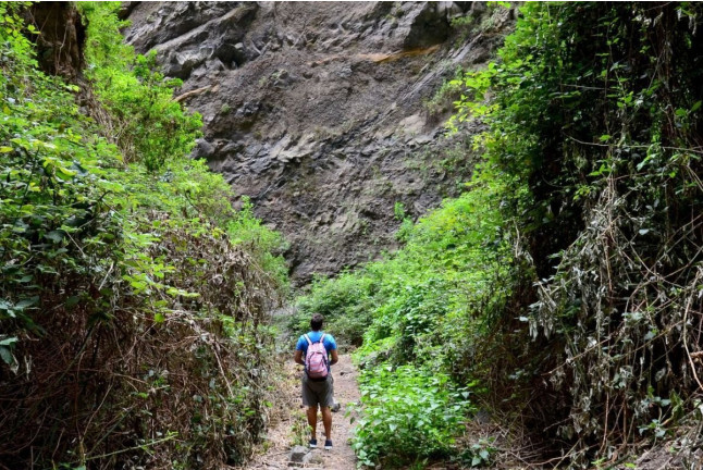 Ruta del Miedo en el Barranco de Badajoz (Tenerife)