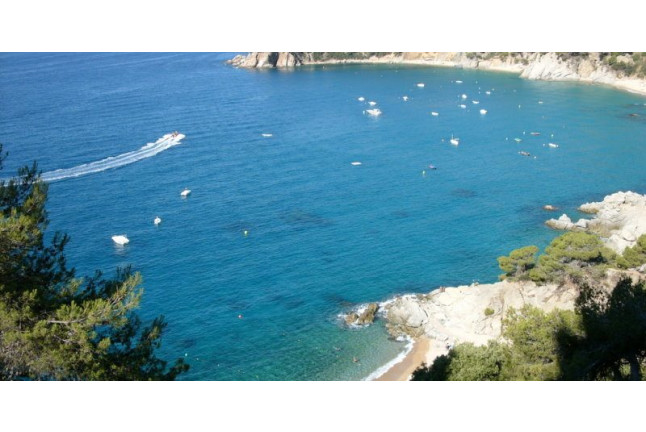 Bautismo de Buceo, Cavas Submarinas y Botella de Vino (Girona)