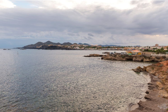 Discover Snorkel (Cabo de Palos, Murcia)