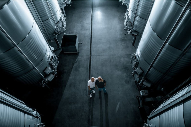 Visita y Cata de Vinos en Bodega Andrés Iniesta para dos (Fuentealbilla, Albacete)