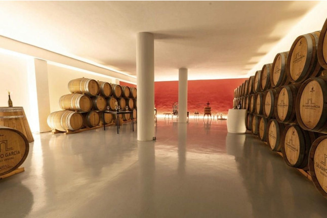 Visita a Bodegas Silvano García con Cata de Vinos y Aperitivo para dos (Jumilla, Murcia)