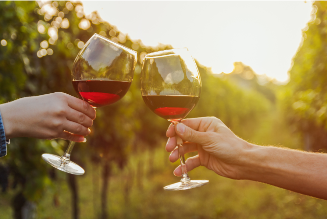 Visita a Bodegas Bocopa con Cata de Vinos y Tapa para dos (Alicante)