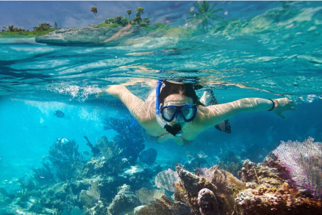 Snorkel en la Reserva Marina de Menorca (Fornells, Menorca)