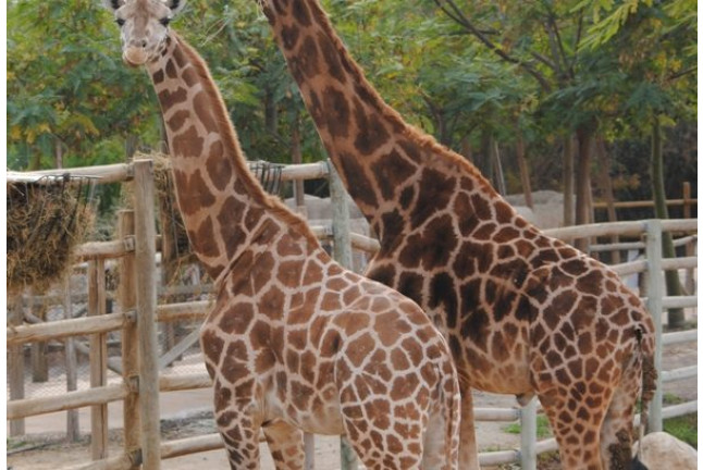 OFERTA: Entrada a Terra Natura (Murcia)
