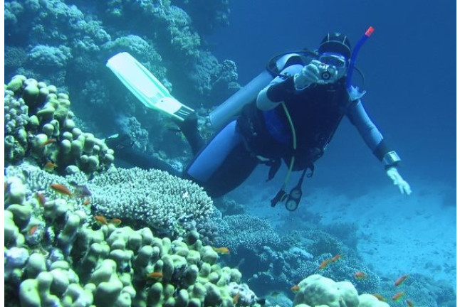 Curso de Buceo Open Water Diver (Tenerife)