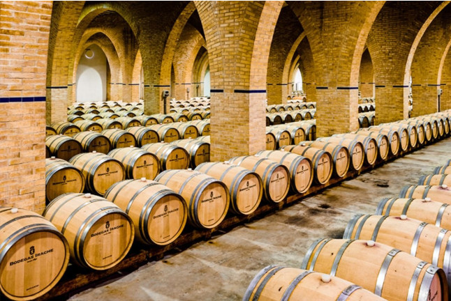 Visita a las Bodegas Irache con Degustación de Vinos y Aperitivo para dos (Navarra) 