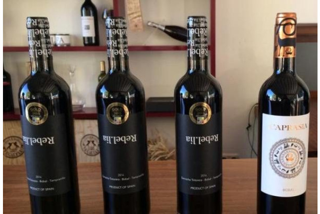 Visita a la Bodega Vegalfaro y Cata de Vinos para dos (Requena, Valencia) 