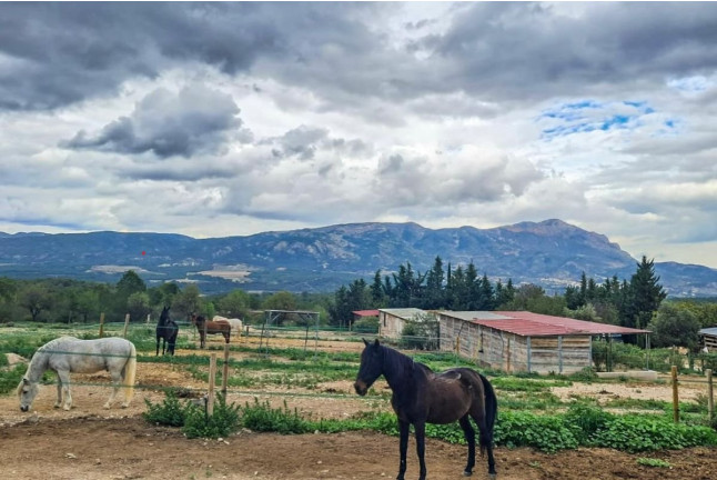 Ruta a Caballo para dos (Alicante)