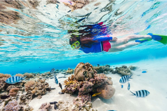 Snorkel en la Reserva Marina de Menorca (Fornells, Menorca)