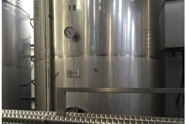 Visita a la Bodega Vegalfaro y Cata de Vinos para dos (Requena, Valencia) 