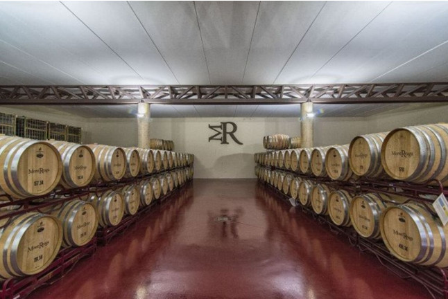 Escapada de 2 noches en el Palacio Buenavista Hospedería y Visita a Bodega Mont Reaga con Cata y Aperitivo para dos (Cuenca)