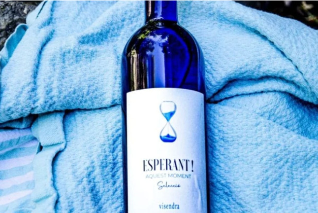 Visita a Bodegues Visendra con Cata de Vinos y Aperitivo para dos (Les Pobles, Tarragona)