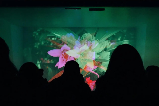 Oleoturismo con los 5 Sentidos: Visita al Olivar con Experiencia 3D y Cata de 3 Aceites Premium (Jabalquinto, Jaén)