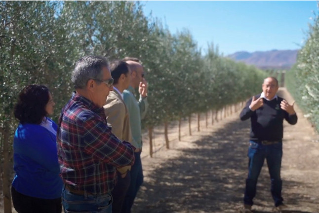 Visita Guiada a OleoAlmanzora con Desayuno o Merienda a base de AOVE para dos (Pulpí, Almería)