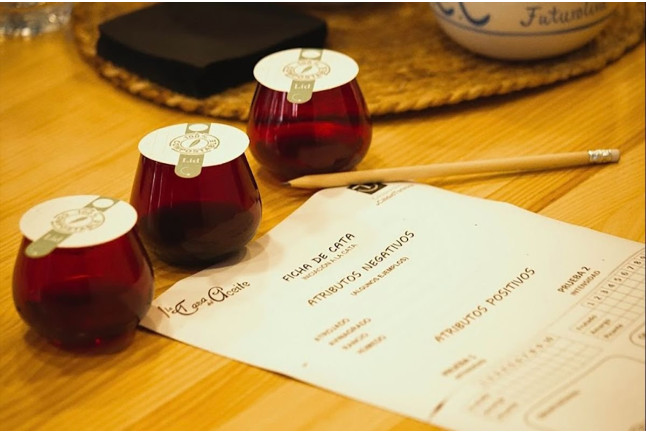 Taller de Iniciación a la Cata de Aceites para dos en La Casa del Aceite (Baeza, Jaén)