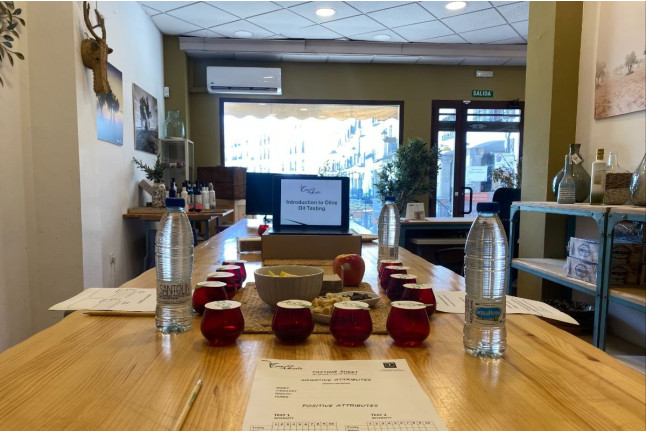 Taller de Iniciación a la Cata de Aceites para dos en La Casa del Aceite (Baeza, Jaén)