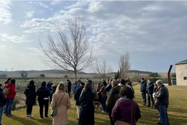 Visita Guiada y Cata en Aceites Artajo (Fontellas, Navarra)