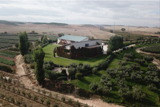 Visita Guiada y Cata en Aceites Artajo (Fontellas, Navarra)