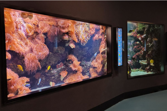 Entradas para el Acuario de Gijón (Asturias)
