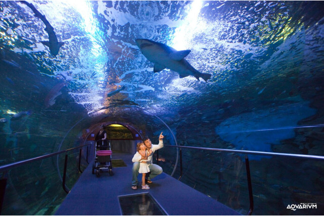 Entrada al Acuario de San Sebastián: Aquarium Donostia-San Sebastián (Guipúzcoa)