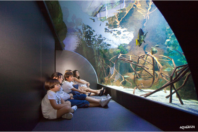 Entrada al Acuario de San Sebastián: Aquarium Donostia-San Sebastián (Guipúzcoa)