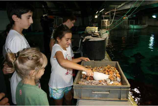 Acuarista por un Día en L'Aquàrium de Barcelona (Barcelona)