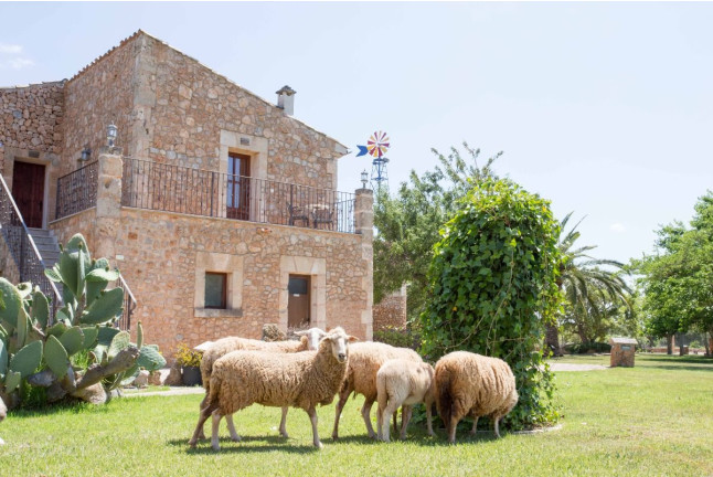 Day Pass con Hamaca en Agroturismo Es Quatre Cantons 4* (Binissalem, Mallorca)