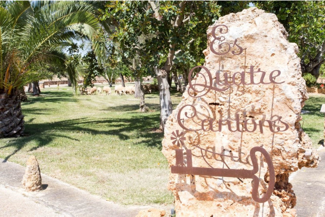 Day Pass con Hamaca en Agroturismo Es Quatre Cantons 4* (Binissalem, Mallorca)