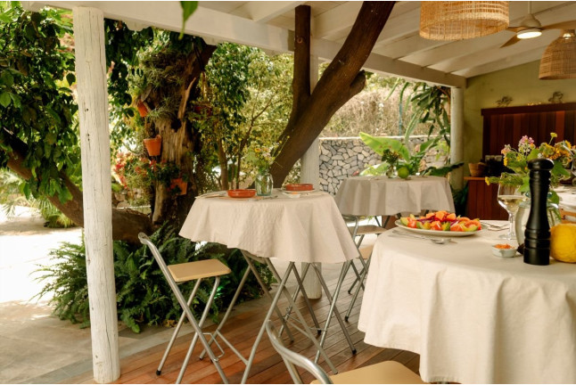 Visita a Finca de Aguacate con Almuerzo Canario en Tahodio Avocado Experience (Tahodio, Santa Cruz de Tenerife)