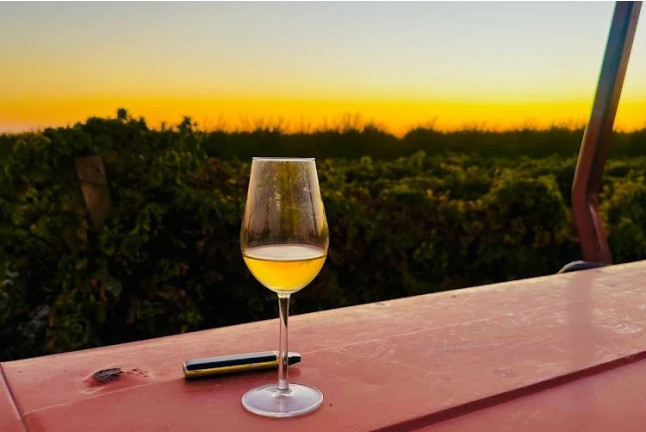 Cata de Burbujas Galanteria: Cata y Maridaje en Albariza de la Torre (Jerez de la Frontera, Cádiz)