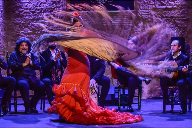 Experiencia Alma Jerez: Espectáculo Ecuestre, Visita a Bodega con Cata y Comida con Espectáculo Flamenco (Jerez de la Frontera, Cádiz)