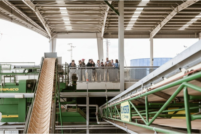 Oleopack Picualia: Visita Guiada por la Almazara y Cata de AOVE (Bailén, Jaén)