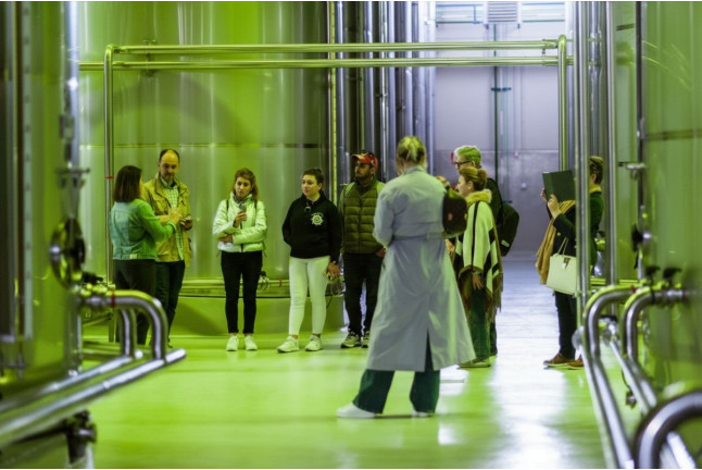 Picualia Oleoturismo: Visita Guiada por una Almazara del siglo XXI para dos (Bailén, Jaén)