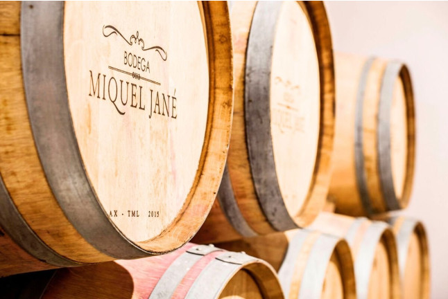 Escapada Enológica: Noche con Spa y Comida en Hotel Dolce by Wyndham 4* Sup y Visita a Bodega y Cata de Vino para dos (Barcelona)
