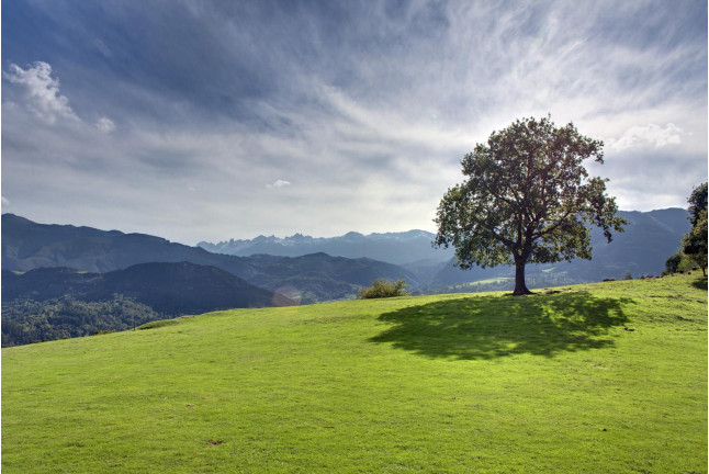 Escapada con Cena en Alojamiento Rural La Montaña Mágica (Asturias)