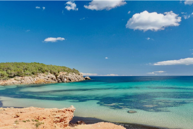 Alquiler de Paddle Surf (Ibiza)