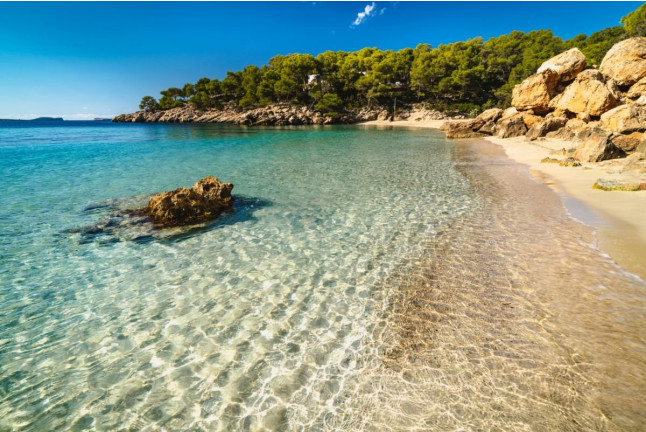 Alquiler de Paddle Surf (Ibiza)