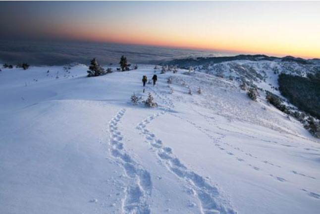 Alquiler de Raquetas de Nieve para dos (Grau Roig, Andorra)