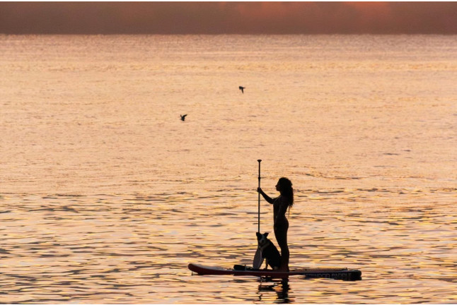 Alquiler de Paddle Surf (Barcelona)